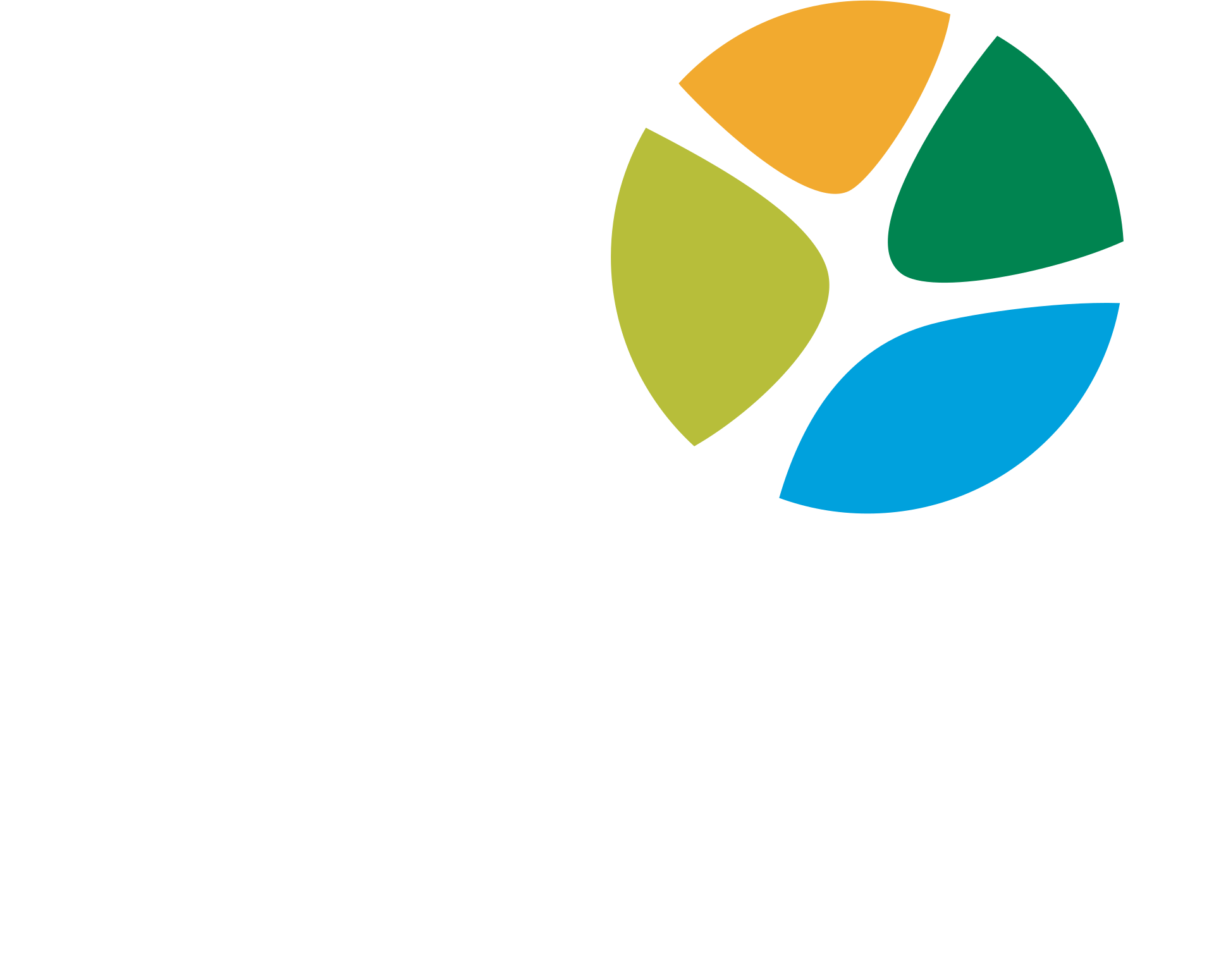 Brisa_logo